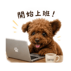 工作中的球球