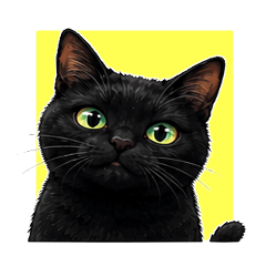 Black Cat Festival
