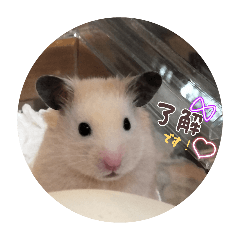 eri_20260504072250