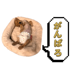 TEN_20260504160832
