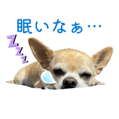 chibi2_20260504075837