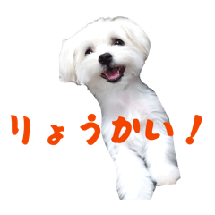 maru_20260504161758
