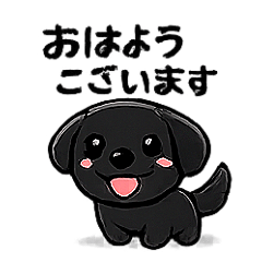 Labrador Puppy Everyday ConversationSti
