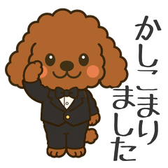 Polite Toy Poodle Stickers for Daily Use