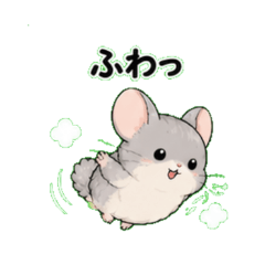 Floaty Chinchilla
