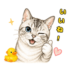 Everyday Blue-Eyed Chansuke Stickers