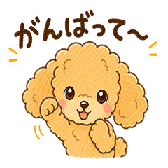 Toy Poodle Everyday Conversation Sticker