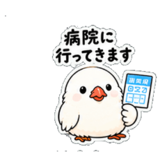Bird Club: Hospital Chat Stickers