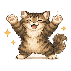 Chill Boss Maine Coon