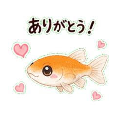 medaka - Daily Chat Stickers