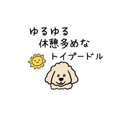 Chill Toy Poodle - Loves to Rest411