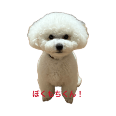 Mochi_20260504083758