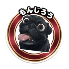 KOTAMON_20260504083235