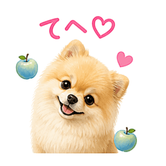 AYUMI_20260504162101