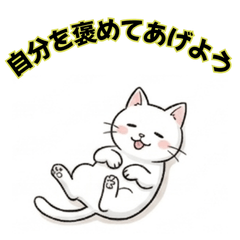 Relaxing Cat Stickers2026