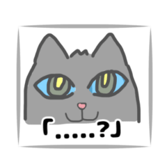 A Slightly Intense Cat: Seen