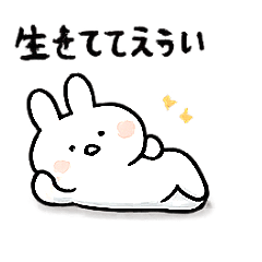 A rabbit that doesn't try hard