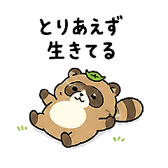 Tired Raccoon Escape Reality