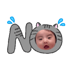 cho_20260506115331