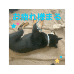 ak_20260506123745
