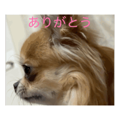 Daichi_20260506131338