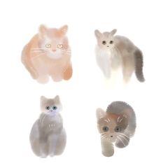 kazaru neko