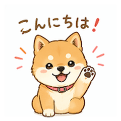 Hana the Shiba Inu