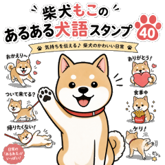 Shiba Inu Daily & Dog Talk 40