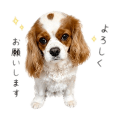 BINGO_20260504091238