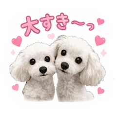 HanaYuki_20260504092625
