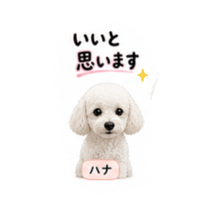 HanaYuki_20260504093329
