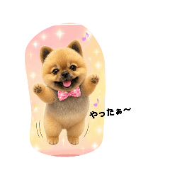 mam_20260504171014