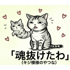 sirokiji_20260504092437