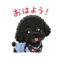 toshi rin_20260504170252