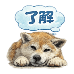 Koryu_20260504171907