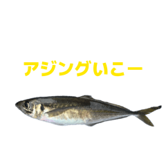 ankopan_20260504174048