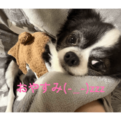 karin_20260504171934
