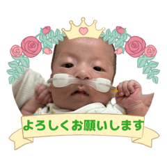 shiho_20260504093347
