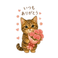 Thank You Kitty