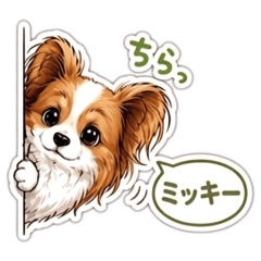 YO_20260504175313