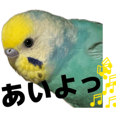 yuki_20260504174619