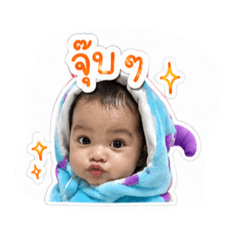 aom_20260428133434