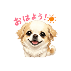 nanamaru_778