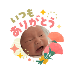 oyakata3_20260504093941