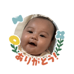 MAMI_20260504095236