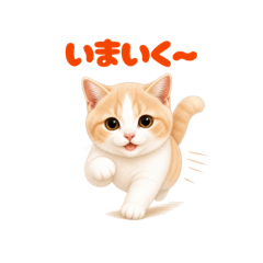 kuukii_20260504174002