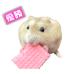kanna_20260504095256