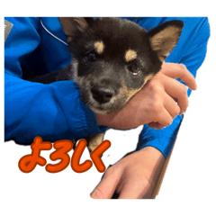 NAO KING_20260504181300