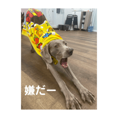 Kotaro_20260504181912