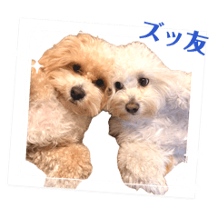yuuya_20260504181937